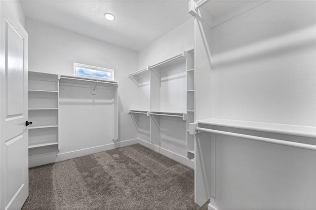 walk in closet with dark carpet