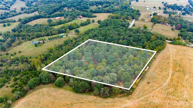 aerial view with a rural view