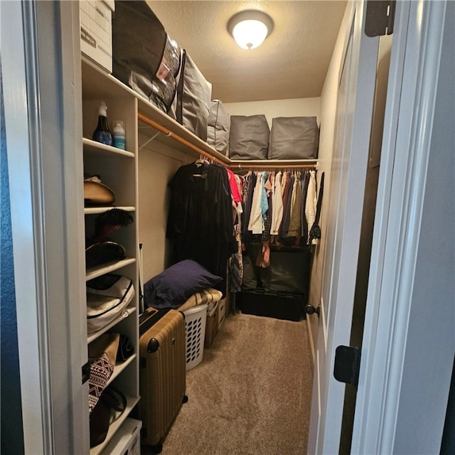 spacious closet with carpet flooring