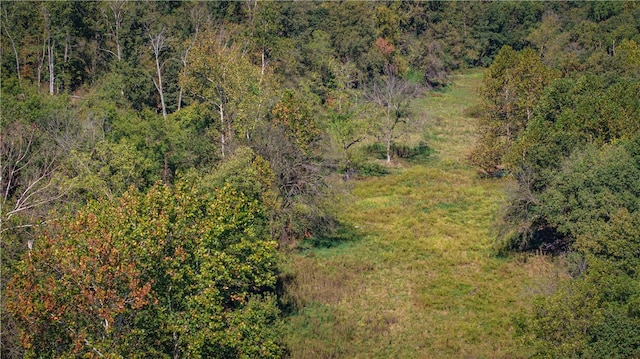 16194 Fruitwood Rd, Gravette, AR 72736 - photo 22