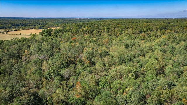 16194 Fruitwood Rd, Gravette, AR 72736 - photo 25
