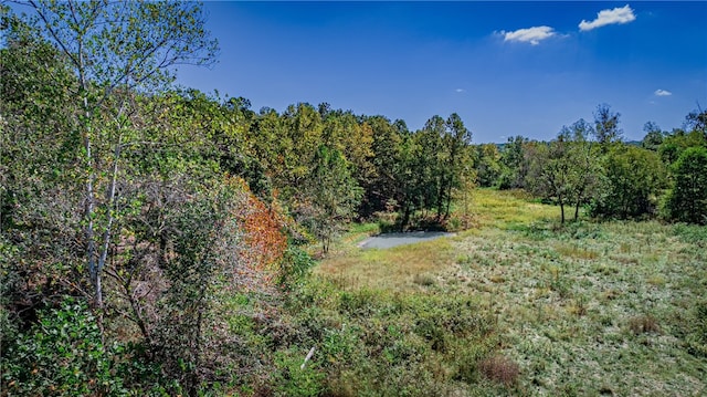 16194 Fruitwood Rd, Gravette, AR 72736 - photo 20