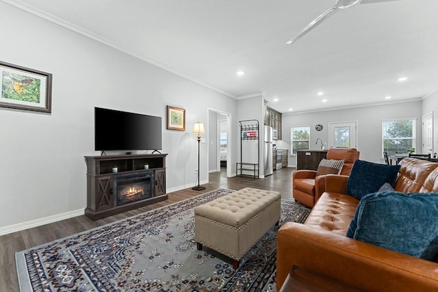 living room featuring crown molding, baseboards, recessed lighting, and dark wood-style floors