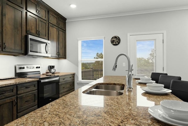 kitchen with crown molding, light stone countertops, dark brown cabinets, a sink, and stainless steel appliances