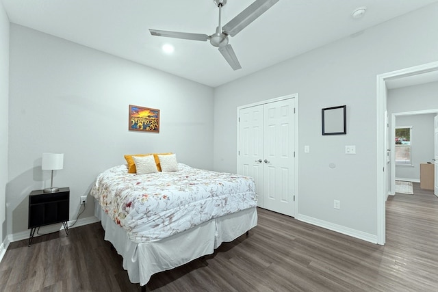 bedroom featuring ceiling fan, a closet, and dark wood-type flooring