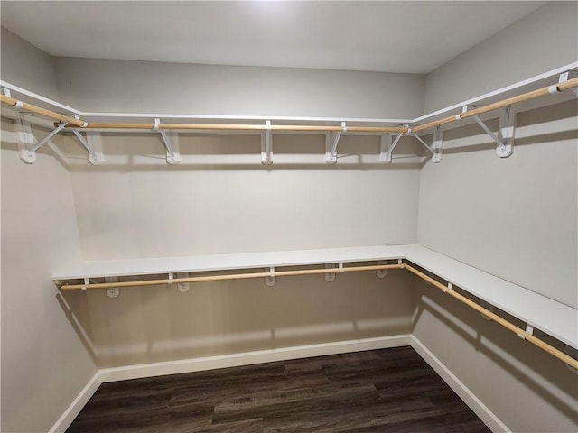 walk in closet featuring dark wood-type flooring