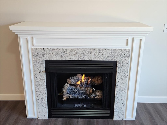 details featuring wood finished floors, baseboards, and a premium fireplace