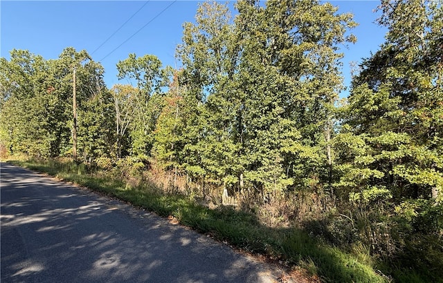 Listing photo 3 for LOT10, BLOCK5 Tummell Dr, Bella Vista AR 72715