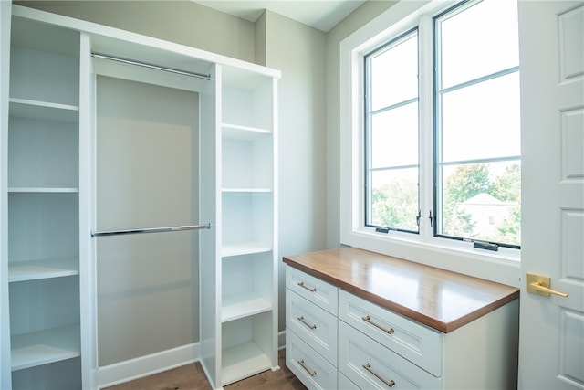 walk in closet featuring wood-type flooring