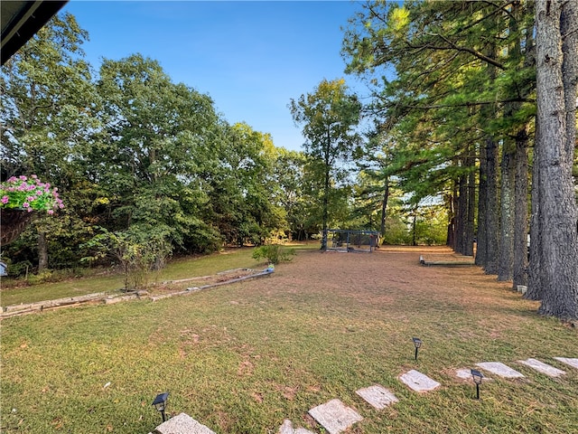 view of yard with a trampoline