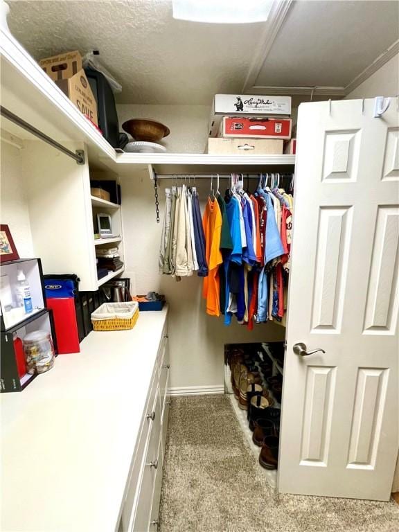 spacious closet with light carpet