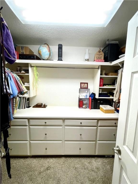 spacious closet featuring light colored carpet