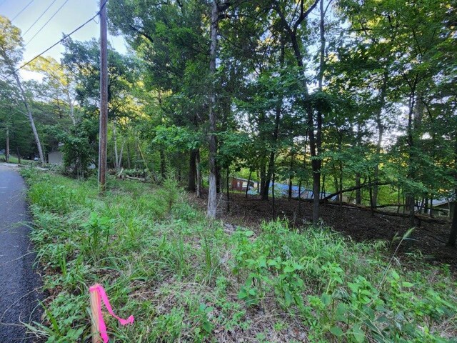LOT108 Hickory Dr, Rogers, AR 72732