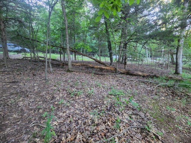 LOT108 Hickory Dr, Rogers, AR 72732 - photo 4