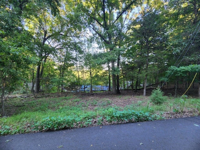 LOT108 Hickory Dr, Rogers, AR 72732