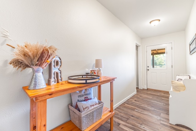 doorway featuring hardwood / wood-style flooring