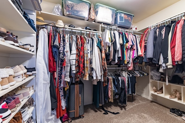 spacious closet with carpet floors