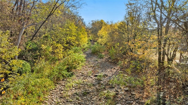 view of landscape