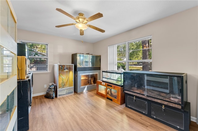 miscellaneous room with ceiling fan, light hardwood / wood-style flooring, and a healthy amount of sunlight