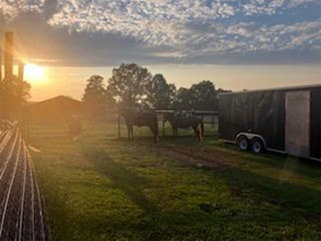 view of yard at dusk