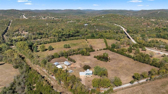 drone / aerial view featuring a mountain view