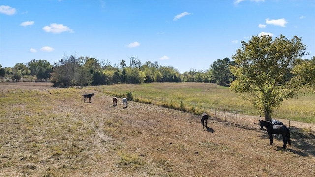 view of landscape with a rural view