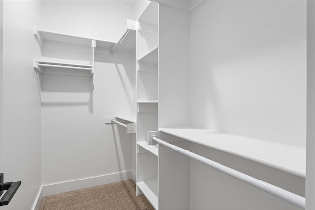 walk in closet with carpet flooring