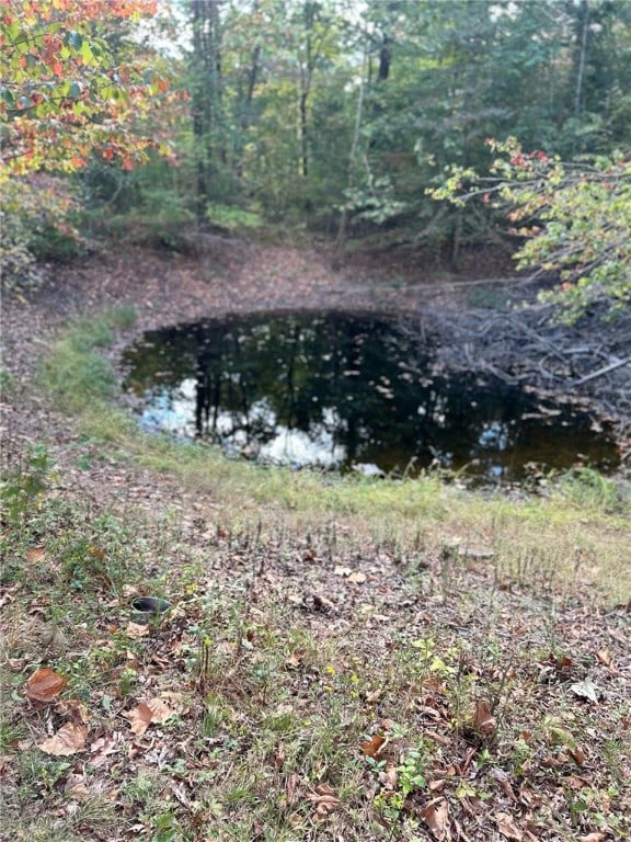 view of local wilderness with a water view