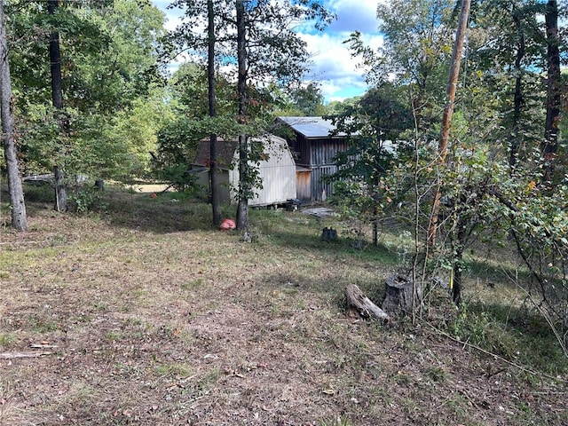 view of yard featuring a storage shed