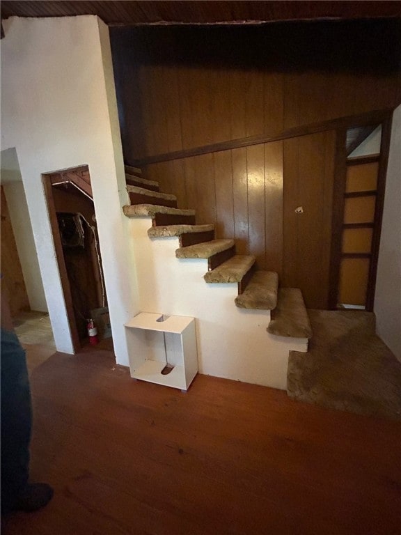 stairs featuring wooden walls and hardwood / wood-style floors