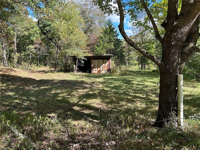 view of yard featuring a storage shed