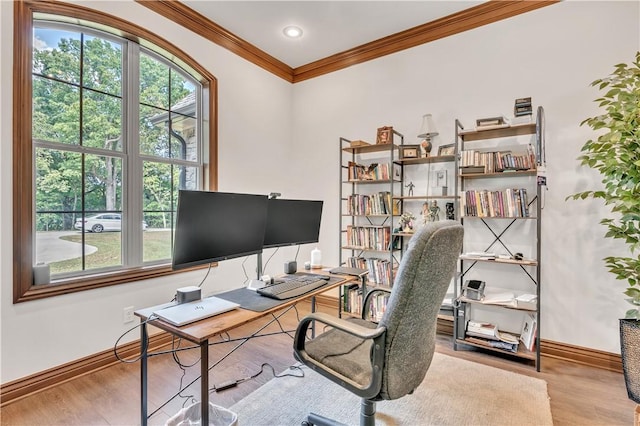 office space with ornamental molding, baseboards, and wood finished floors
