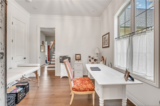 office with wood-type flooring and crown molding