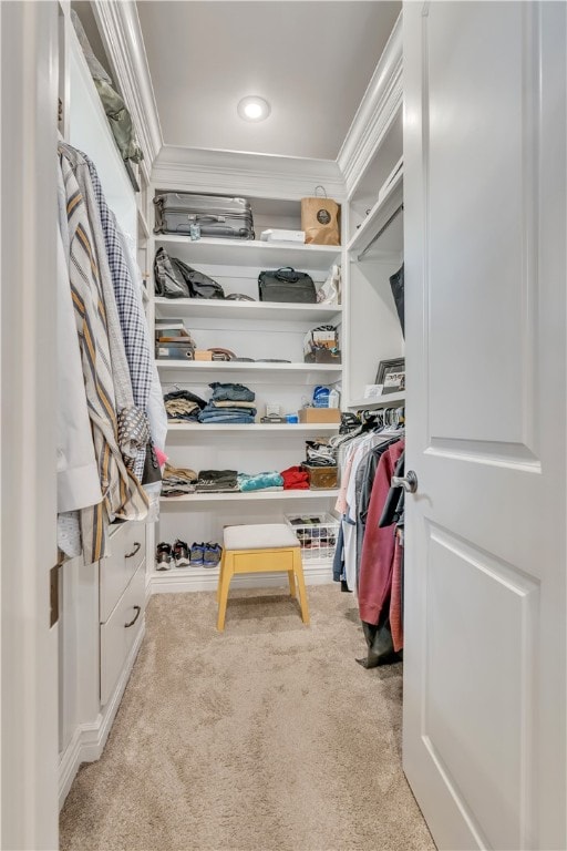 spacious closet featuring light colored carpet