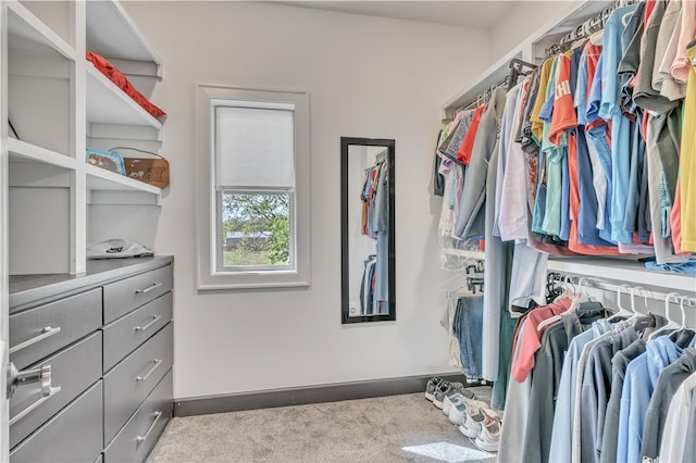 walk in closet featuring light colored carpet