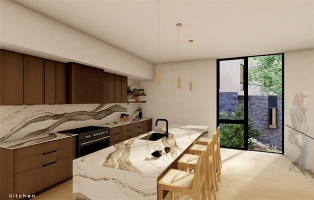 kitchen with sink, light stone counters, expansive windows, light hardwood / wood-style floors, and electric stove