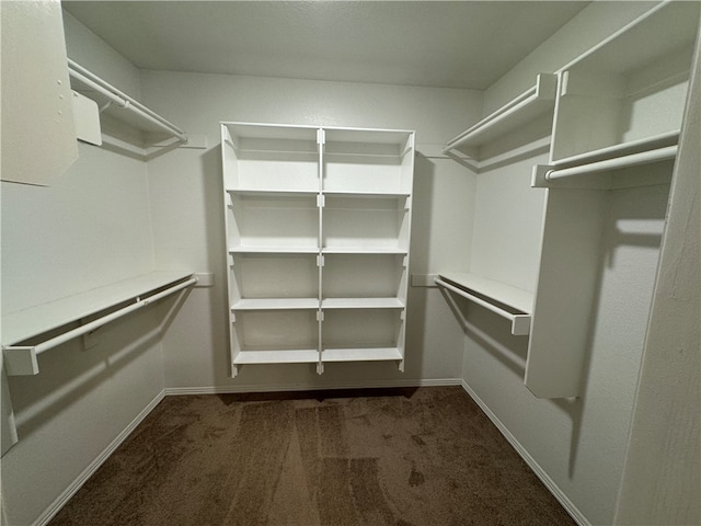 spacious closet with dark colored carpet