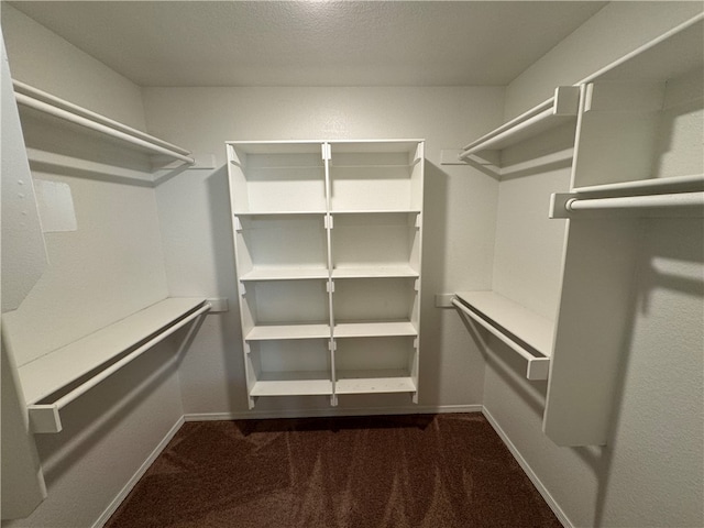 spacious closet with dark carpet