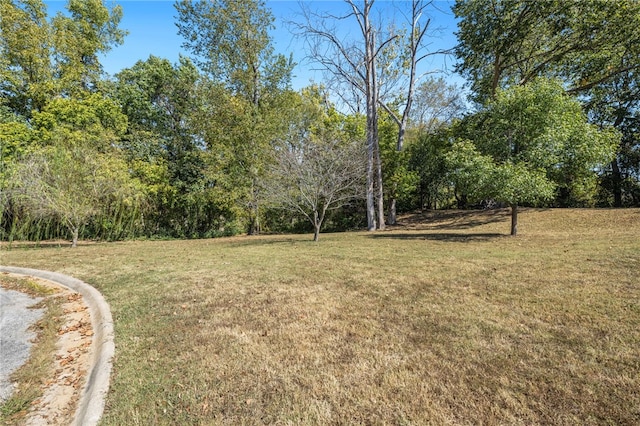 814 Hoddle Pl, Fayetteville AR, 72701 land for sale