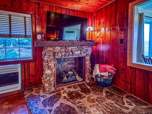 living room with heating unit, wood walls, and a fireplace