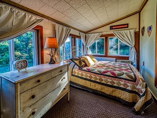 bedroom with carpet, ornamental molding, multiple windows, and lofted ceiling