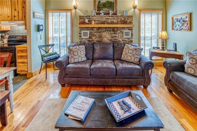 living room with hardwood / wood-style flooring and a healthy amount of sunlight