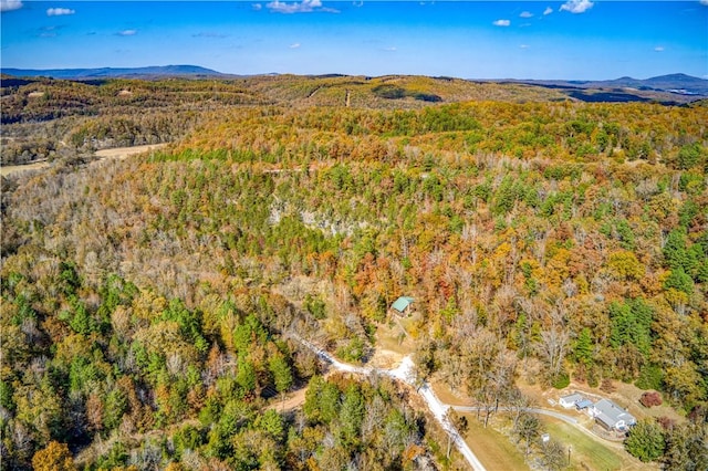 birds eye view of property featuring a mountain view