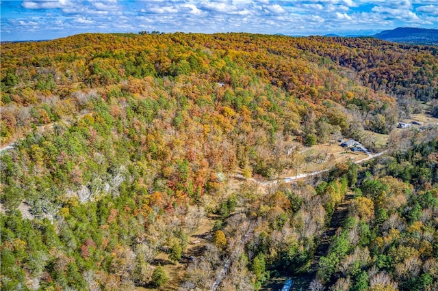 bird's eye view with a mountain view