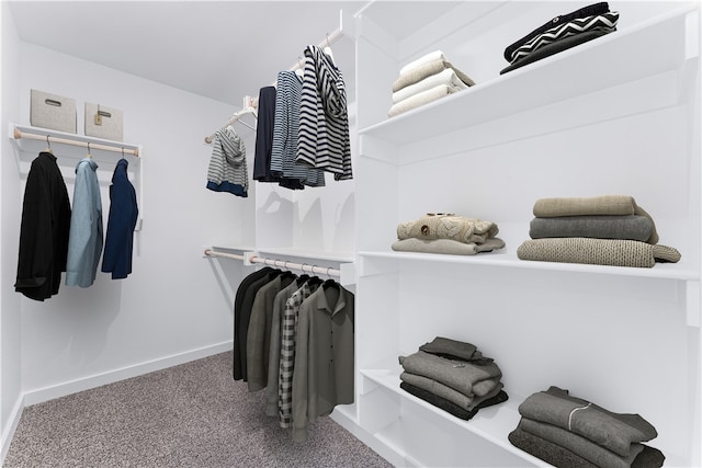 walk in closet featuring carpet flooring