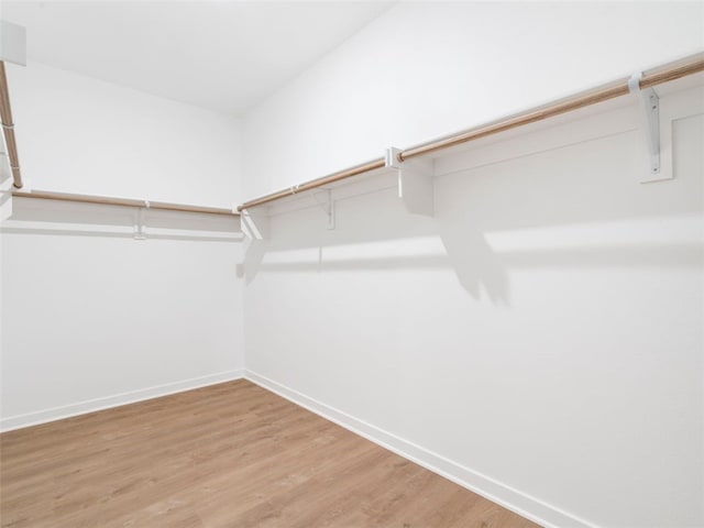 spacious closet featuring hardwood / wood-style flooring