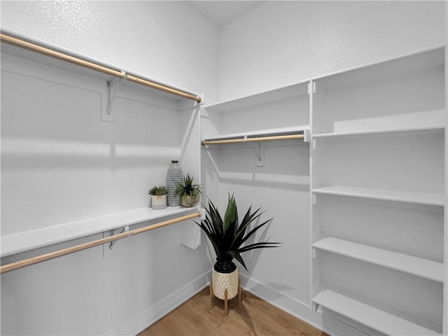 spacious closet with wood-type flooring