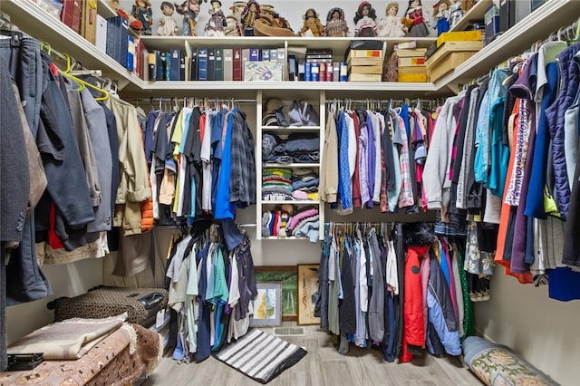 spacious closet with wood-type flooring