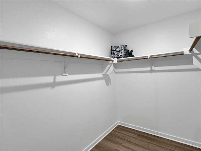 5395 Selah St, Springdale, AR 72764 - spacious closet featuring dark wood finished floors