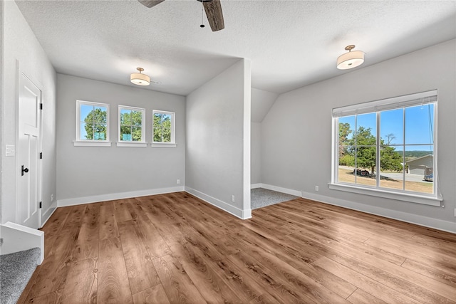 interior space featuring wood-type flooring, a textured ceiling, and a healthy amount of sunlight